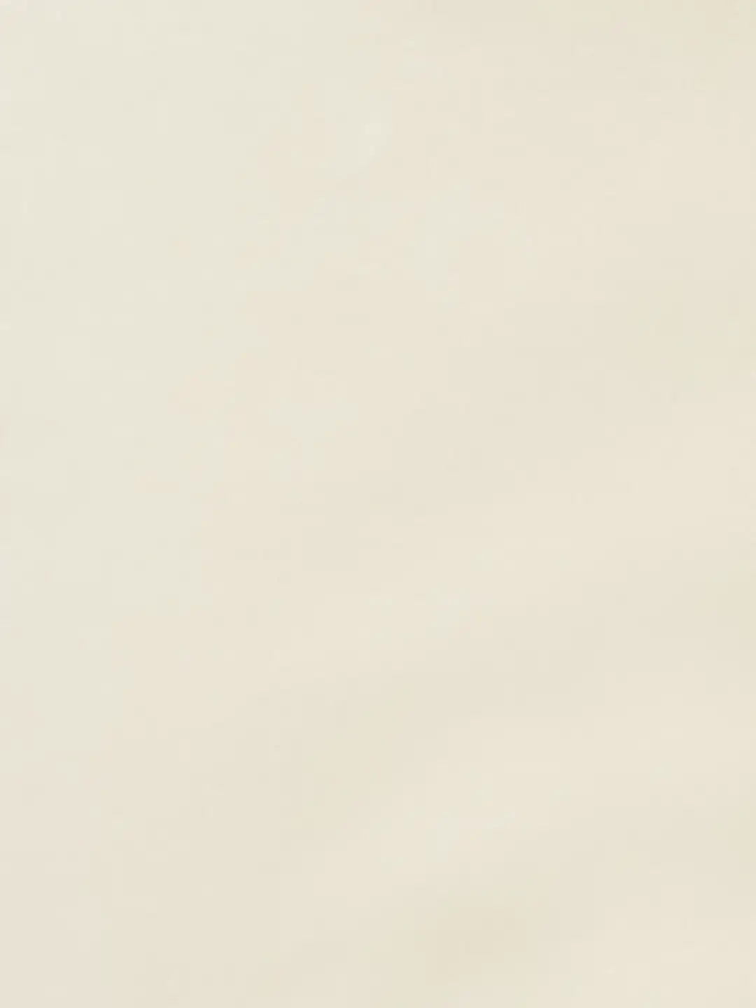 Men Lrt White Trouser