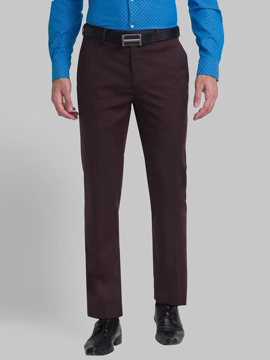 Men Brown Contemporary Fit Solid Terry Rayon Blend Trouser
